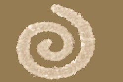Gold nano spiral