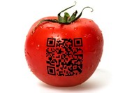 Datamatrix code on tomato