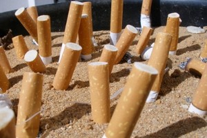 Cigarettes in ashtray
