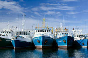 eddie-blair-fishing-boats-unsplash-600x400.jpg