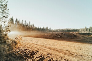 roya-ann-miller-deforestation-unsplash