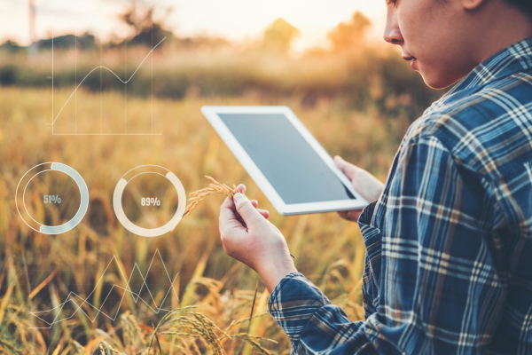 - Bayer taps Kezzler for seed supply chain traceability - Bayer taps Kezzler for seed supply chain traceability