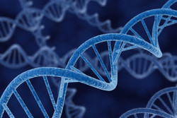 DNA strand DNA strand