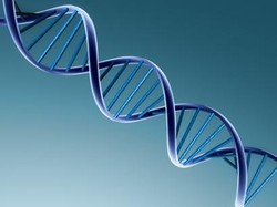 DNA helix DNA helix