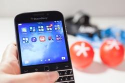 Blackberry in hand
