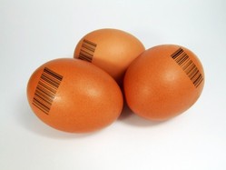 Eggs with barcodes Eggs with barcodes