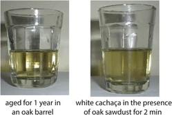 Cachaca samples