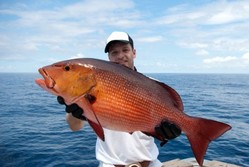 Proud fisherman with red snapper  Proud fisherman with red snapper