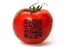 Datamatrix code on tomato Datamatrix code on tomato