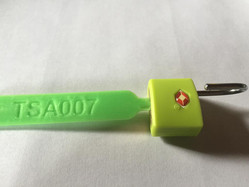 3D printed TSA master key