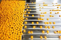 Making pills Making pills
