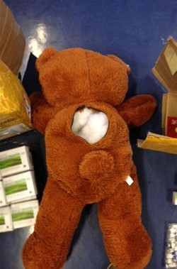 Stuffed bear used to smuggle illicit medicines Stuffed bear used to smuggle illicit medicines