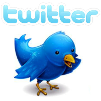 Twitter bird and logo