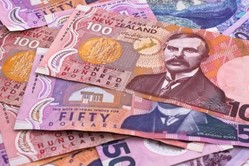 NZ banknotes